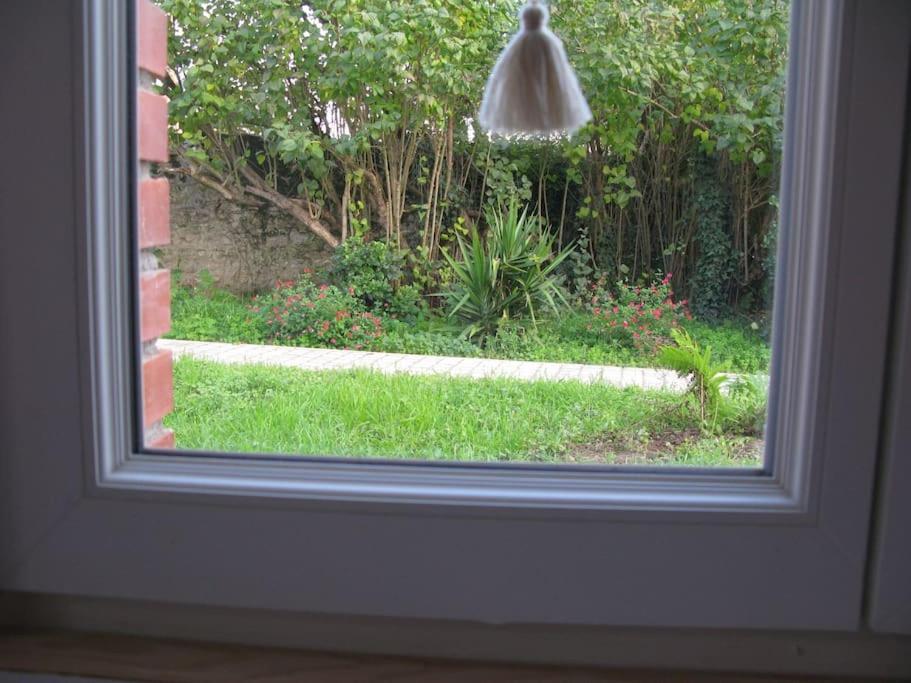 Maisonette Cosy بلْوا المظهر الخارجي الصورة